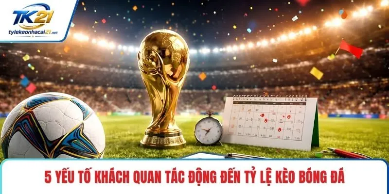 5 yếu tố khách quan tác động đến tỷ lệ kèo bóng đá