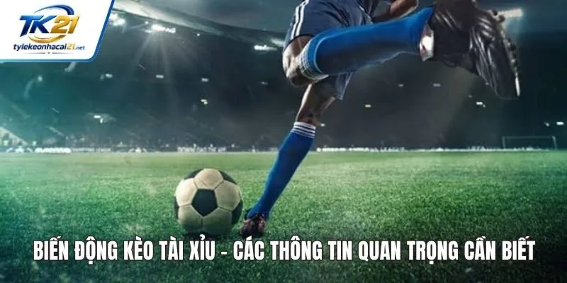 Biến Động Kèo Tài Xỉu - Các Thông Tin Quan Trọng Cần Biết