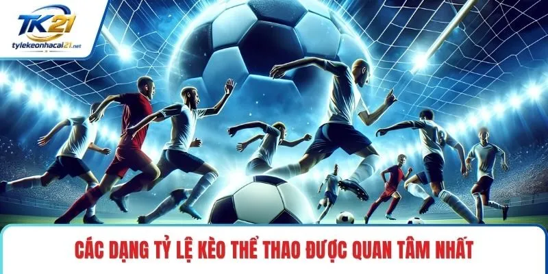 Các dạng tỷ lệ kèo thể thao được quan tâm nhất