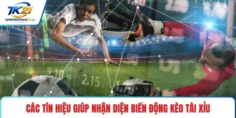 Các tín hiệu giúp nhận diện biến động kèo tài xỉu