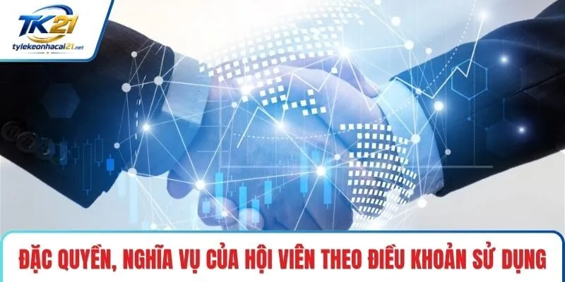 Đặc quyền, nghĩa vụ của hội viên theo điều khoản sử dụng
