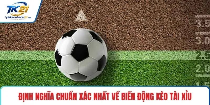 Định nghĩa chuẩn xác nhất về biến động kèo tài xỉu