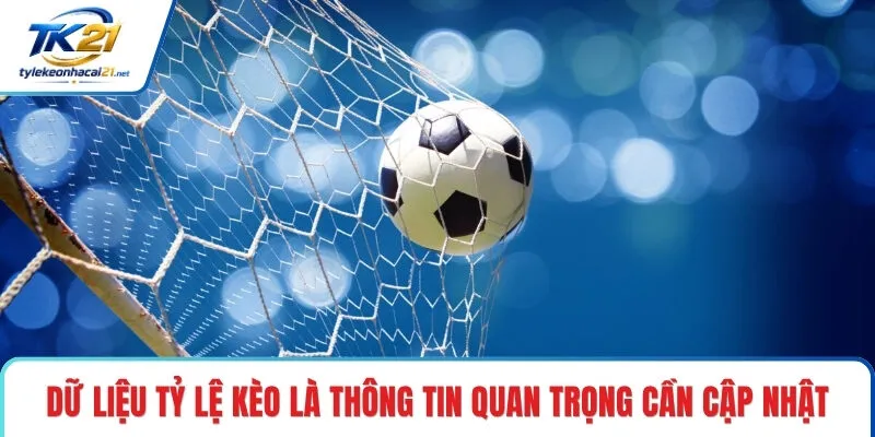 Dữ liệu tỷ lệ kèo là thông tin quan trọng cần cập nhật