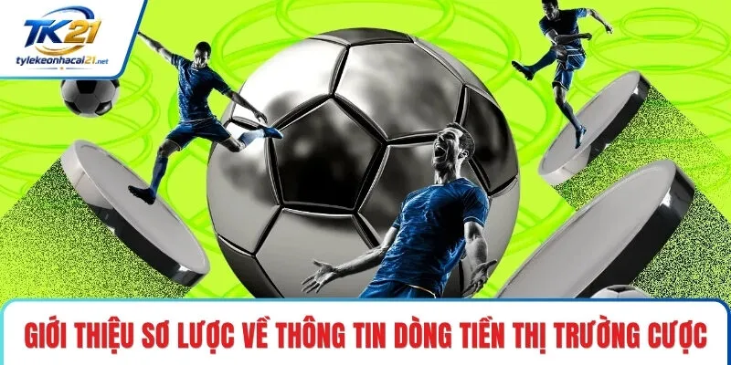 Giới thiệu sơ lược về thông tin dòng tiền thị trường cược