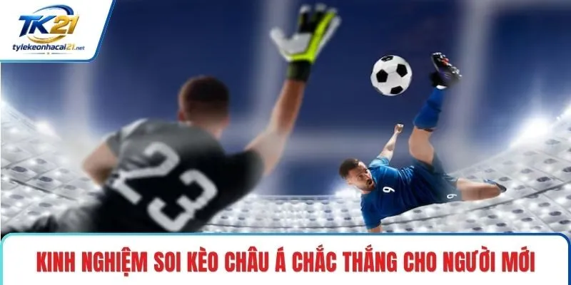 Kinh nghiệm soi kèo Châu Á chắc thắng cho người mới