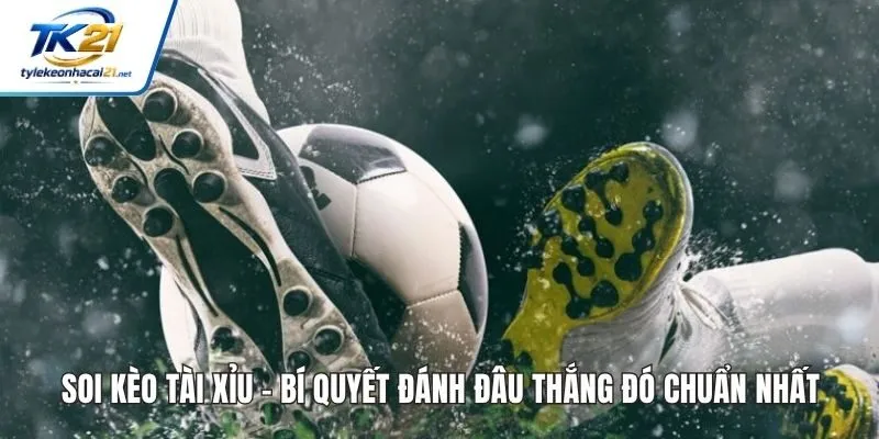 Soi Kèo Tài Xỉu - Bí Quyết Đánh Đâu Thắng Đó Chuẩn Nhất