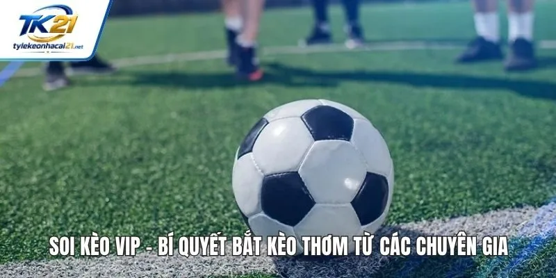 Soi Kèo Vip - Bí Quyết Bắt Kèo Thơm Từ Các Chuyên Gia